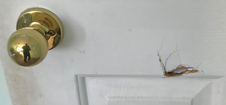 interior door hole repair North Fort Myers
