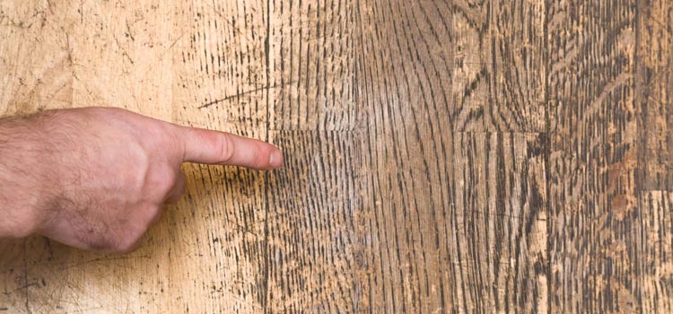 Wood Door Scratch Repair in North Fort Myers